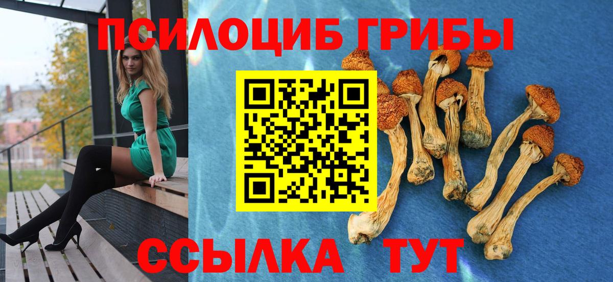 Галлюциногенные грибы MAGIC MUSHROOMS Муравленко